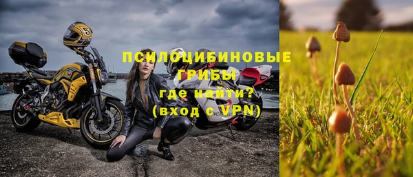 ПСИЛОЦИБИНОВЫЕ ГРИБЫ Алапаевск
