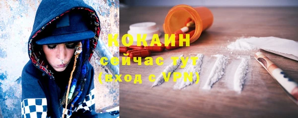 ПСИЛОЦИБИНОВЫЕ ГРИБЫ Алапаевск