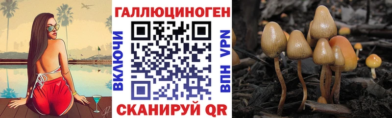 Галлюциногенные грибы Psilocybe  Белоозёрский 